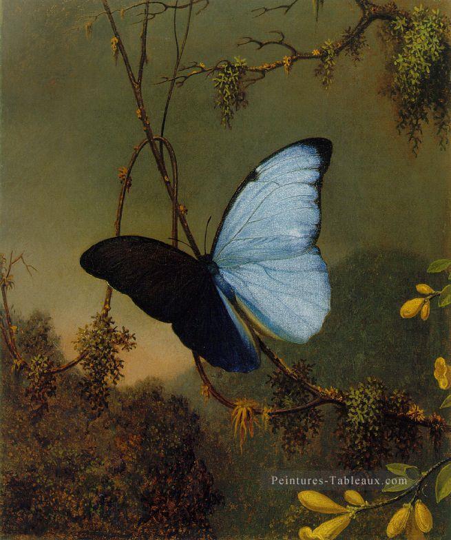 Blue Morpho Butterfly ATC romantique Martin Johnson Heade Peintures à l'huile